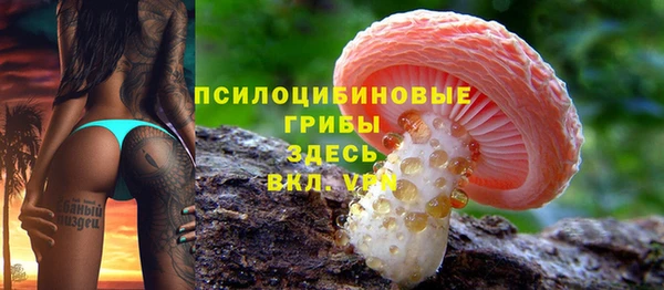 крисы Приозерск
