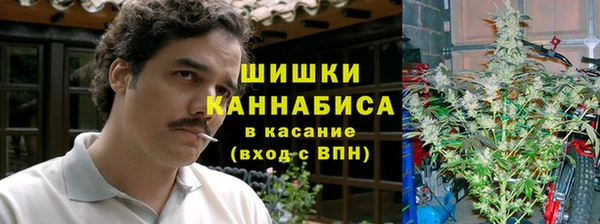 крисы Приозерск