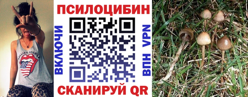Галлюциногенные грибы Psilocybe  Агидель 