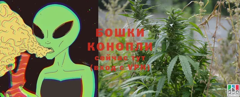 Бошки Шишки SATIVA & INDICA  Агидель 